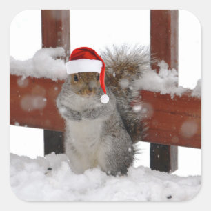 Jaunty Squirrel met Santa Hat Holiday Sticker