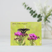 JAV Blackswallow Tail Butterfly 2013 PC 1 Briefkaart (Staand voorkant)