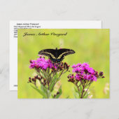 JAV Blackswallow Tail Butterfly 2013 PC 1 Briefkaart (Voorkant / Achterkant)