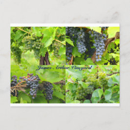 JAV Collage Briefkaart 2013 9