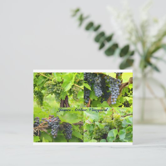 JAV Collage Briefkaart 2013 9 (Staand voorkant)