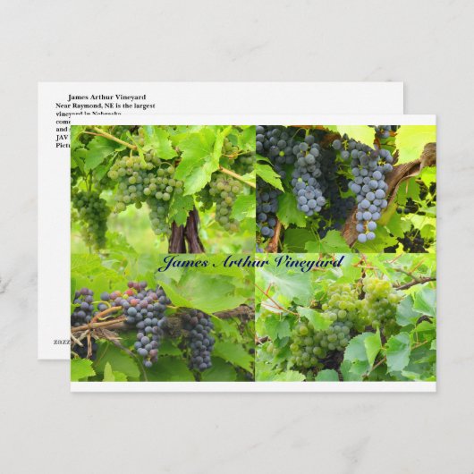 JAV Collage Briefkaart 2013 9 (Voorkant / Achterkant)