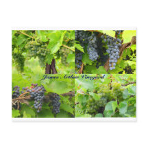 JAV Collage Briefkaart 2013 9