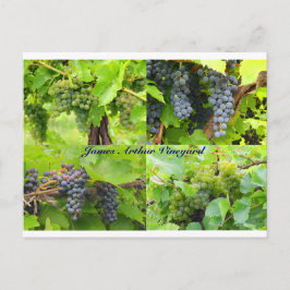 JAV Collage Briefkaart 2013 9