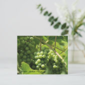 JAV Green. St. Croix briefkaart 10 (Staand voorkant)