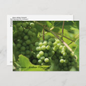 JAV Green. St. Croix briefkaart 10 (Voorkant / Achterkant)