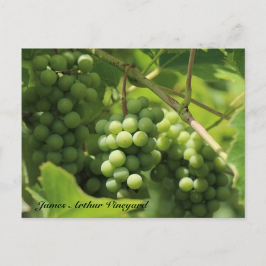 JAV Green. St. Croix briefkaart 10 (Voorkant)