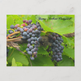 JAV St. Croix paarse druiven 2013 2n Briefkaart