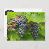 JAV St. Croix pure grafieken 2013 2 logo Briefkaart (Voorkant / Achterkant)