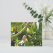Java Appelboom Briefkaart (Staand voorkant)