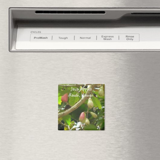 Java Appels Magneet (Insitu (Vaatwasser))