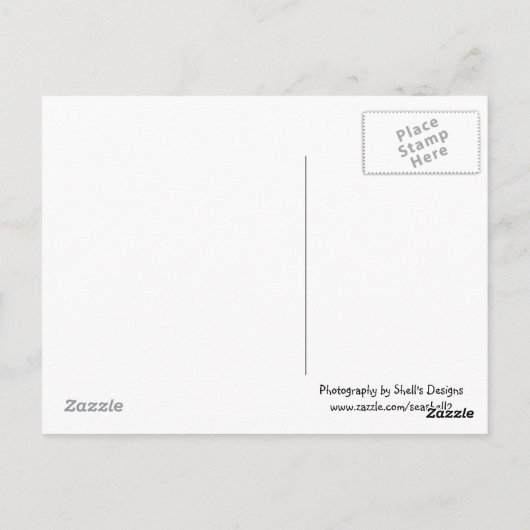 Java Apple-structuur Briefkaart (Achterkant)