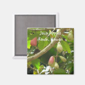 Java Apples Magneet (Voorkant / Achterkant)