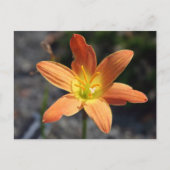 Java Briefkaart (Voorkant)