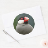 Java Finch Ronde Sticker (Envelop)