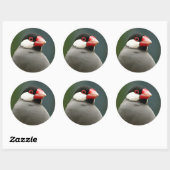 Java Finch Ronde Sticker (Vel)