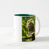 Java Hoot Mok (Voorkant rechts)