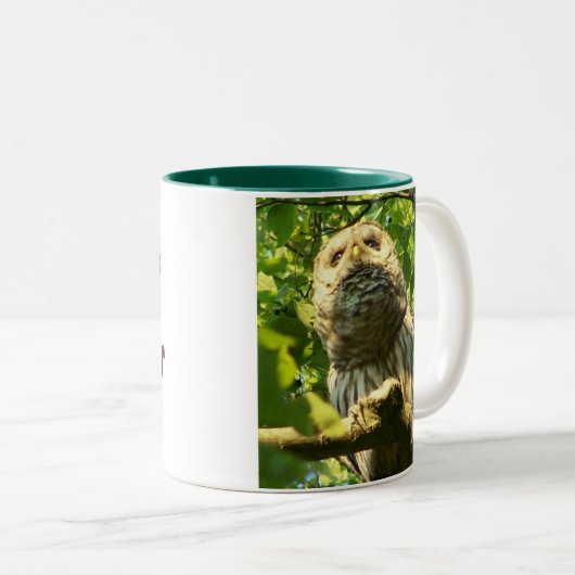 Java Hoot Mok (Voorkant rechts)