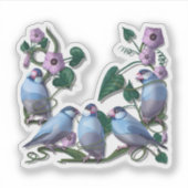 Java mussen  sticker (Voorkant)