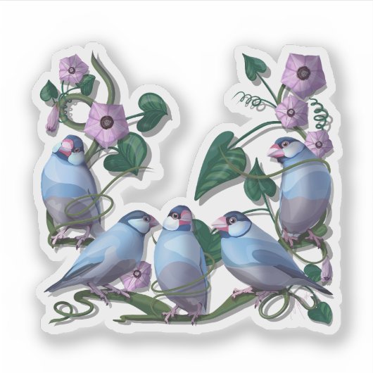 Java mussen  sticker (Voorkant)