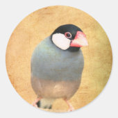 Java Sparrow Ronde Sticker (Voorkant)