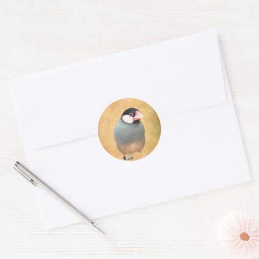 Java Sparrow Ronde Sticker (Envelop)