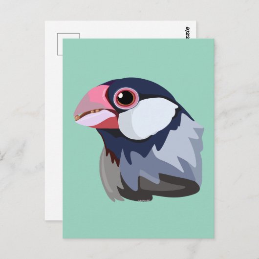 Java Sparrow—vereenvoudigd Briefkaart (Voorkant / Achterkant)