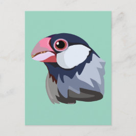 Java Sparrow—vereenvoudigd Briefkaart