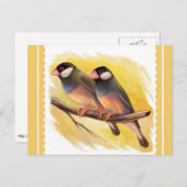 Java Sparrow zoekt realistisch schilderen Briefkaart (Voorkant / Achterkant)