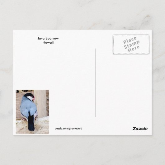 Java Sparrows Hawaii Briefkaart (Achterkant)