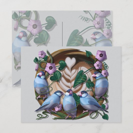 Java Sparrows, Java Coffee Briefkaart (Voorkant / Achterkant)