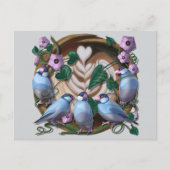 Java Sparrows, Java Coffee Briefkaart (Voorkant)