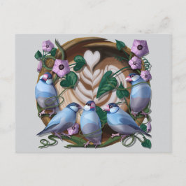 Java Sparrows, Java Coffee Briefkaart