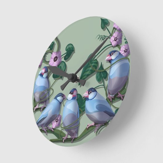 Java sparrows  ronde klok (Hoek)