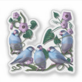 Java sparrows  sticker (Voorkant)