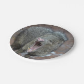Javalina met zijn mond open papieren bordje (Gekanteld)
