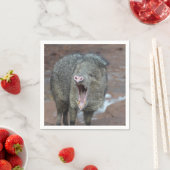 Javalina met zijn mond wijd open servet (Insitu)