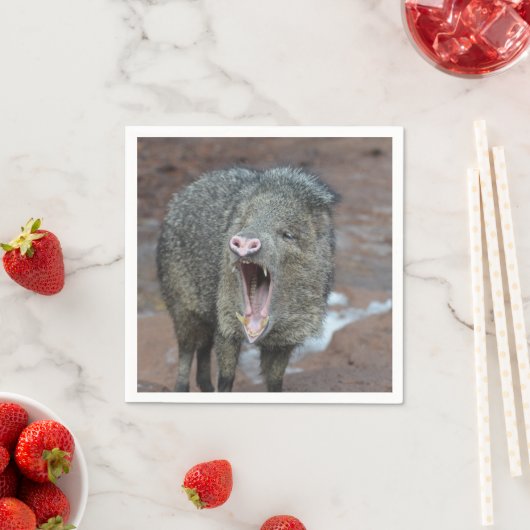 Javalina met zijn mond wijd open servet (Insitu)