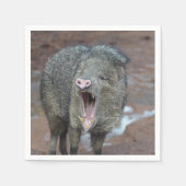 Javalina met zijn mond wijd open servet (Voorkant)