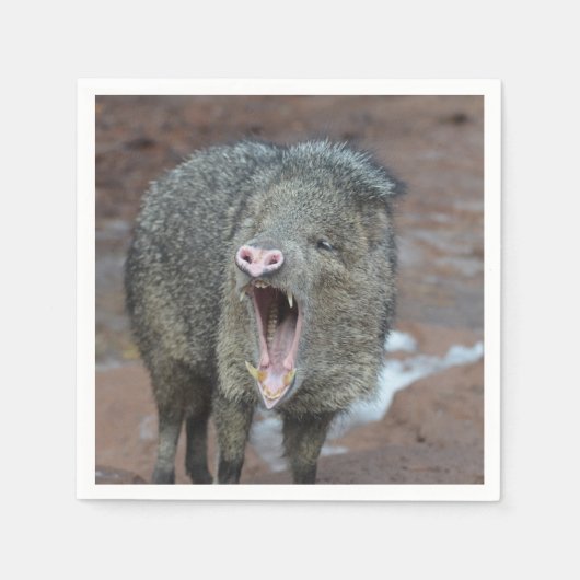 Javalina met zijn mond wijd open servet (Voorkant)