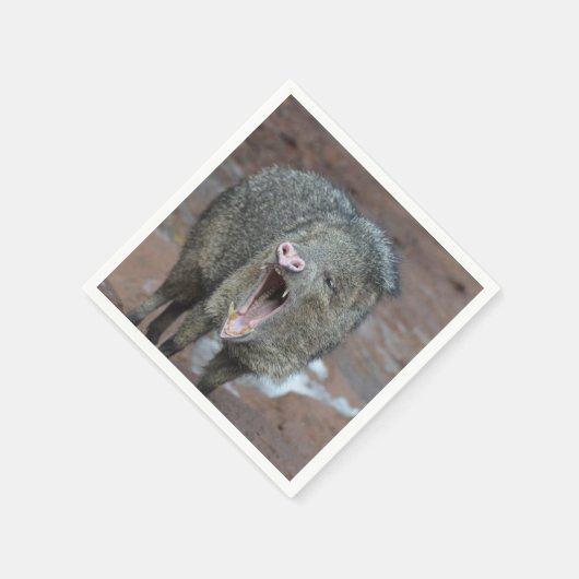 Javalina met zijn mond wijd open servet (Hoek)