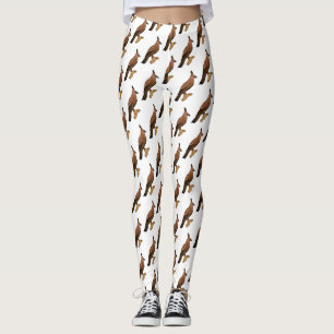 Javan hawk eagle bird cartoon leggings