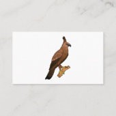 Javan hawk eagle bird cartoon visitekaartje (Achterkant)