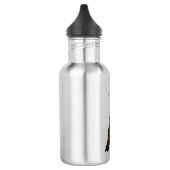 Javan hawk eagle bird cartoon waterfles  (Links)