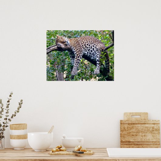 Javan leopard slaapt in een boomtak poster (Keuken)