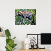 Javan leopard slaapt in een boomtak poster (Thuiskantoor)