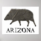 Javelina Desert Animals ARIZONA Art Poster (Voorkant)