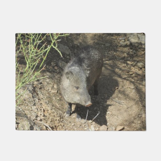 Javelina Deurmat (Voorkant)