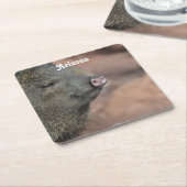 Javelina Kartonnen Onderzetters (Schuin)