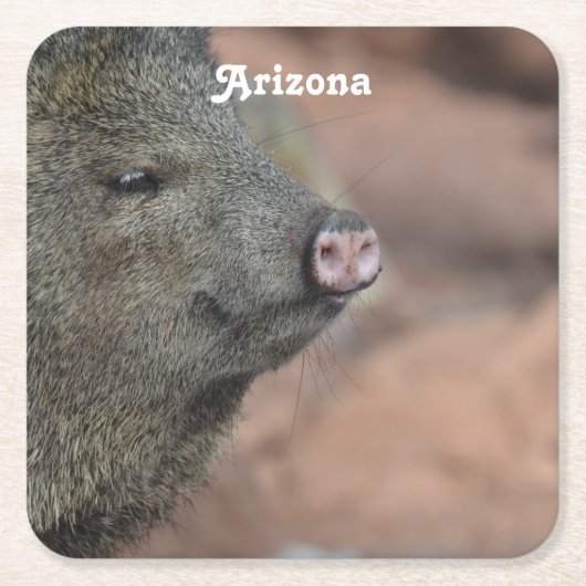 Javelina Kartonnen Onderzetters (Voorkant)